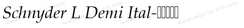 Schnyder L Demi Ital字体转换